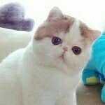 hara kang - @hy123119 - Instagram