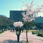 강희재 - @harakang777 - Instagram