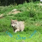 Harald Wolf - @harald.wolf.7796 - Instagram