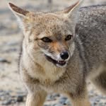 Harald Wolf - @harald.wolf.1232 - Instagram