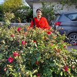Harbir Kaur - @harbir_kaur01 - Instagram