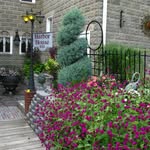 harbor house - @harborhouse1730 - Instagram