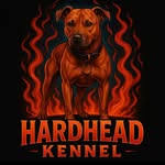 The real hardhead - @hard_head_kennel - Instagram