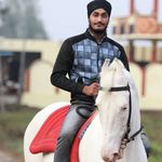 hardeep Malhi - @hardeepmalhi3232 - Instagram