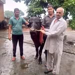 Hardeepnarwal Hardeepnarwal - @hhardeepnarwal - Instagram