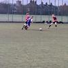 harrymackell1 - @harrymackell1 - TikTok