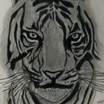 Hardik_Amin - @ihardik_amin - Instagram