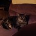 Hardy Davis - Facebook