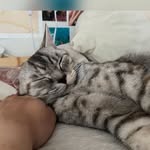 Hardy lam - @hahardy.00 - Instagram
