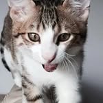 Hardy Lam - @hardylam75 - Instagram