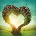 Hareem khan - Facebook