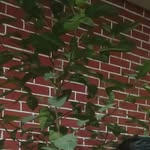 Harichandra Kumar - @harichandra011 - Instagram