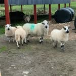 Hari Jones - @hari.jones.165 - Instagram