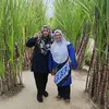 harishah - @harishahaishah - TikTok