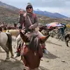 harithapa - @harithapa.com - TikTok