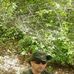 Haris Hadzic - Facebook