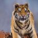 Harish Kumbhare - Facebook