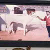 Harjinder Gill - @harjindergill115 - TikTok