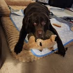Harlan Olson - @harlan_olson - Instagram