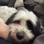 Harley Bell - @harleybell856 - Instagram