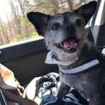 Harley Arnold - @harleyville01 - Instagram