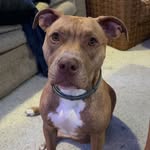 Harley Baker - @harley_0529 - Instagram
