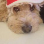 Harley Ball - @harley_ball24 - Instagram