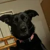 harleybartley767 - @harleybartley767 - TikTok