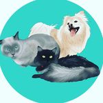 Beckie & Harley & Spot - @harleybeckiespot - Instagram