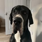 Minnie Beer - Facebook