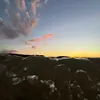 Harley - @harley.boyer - TikTok