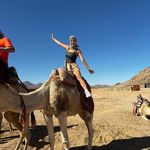 harley - @harleyboyer1.0 - Instagram