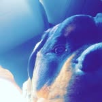 Harley Bright - @harley_photos18 - Instagram