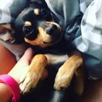 Harley Buchanan - @harley._.151 - Instagram