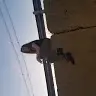 Harley Burke - @harleyburke3 - TikTok
