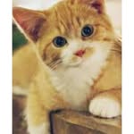 @harleycantrell87633 - Instagram