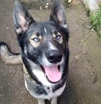 Harley Chaplin - Facebook
