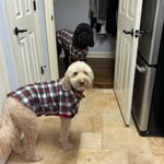 Winnie And Harley Chapin - @winnie_harley_chapin - Instagram