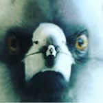 Harley Collins - @speccyspatula - Instagram