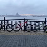Harley Collins - @harleythomascollins - Instagram