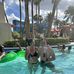 Harley Cook - Facebook