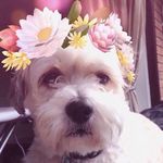 Harley Cummins - @harley.cummins - Instagram