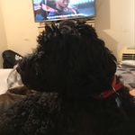 HARLEYCUMMINS - @harleycummins099 - Instagram