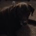 Harley Daugherty - Facebook