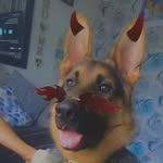 Harley Day - @harley.day.94009 - Instagram