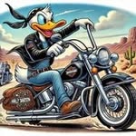 Harley Donaldson - @donaldson_harley - Instagram