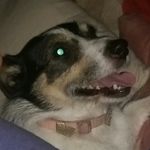 Harley Dunn - @harley.dunn.9469 - Instagram
