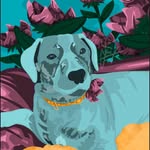 Harley Dunn - @harley.the.donutdog - Instagram