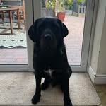 Harley Dunn - @harley.dunn2 - Instagram