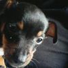 Harley Dunn - @harleydunny987643 - TikTok